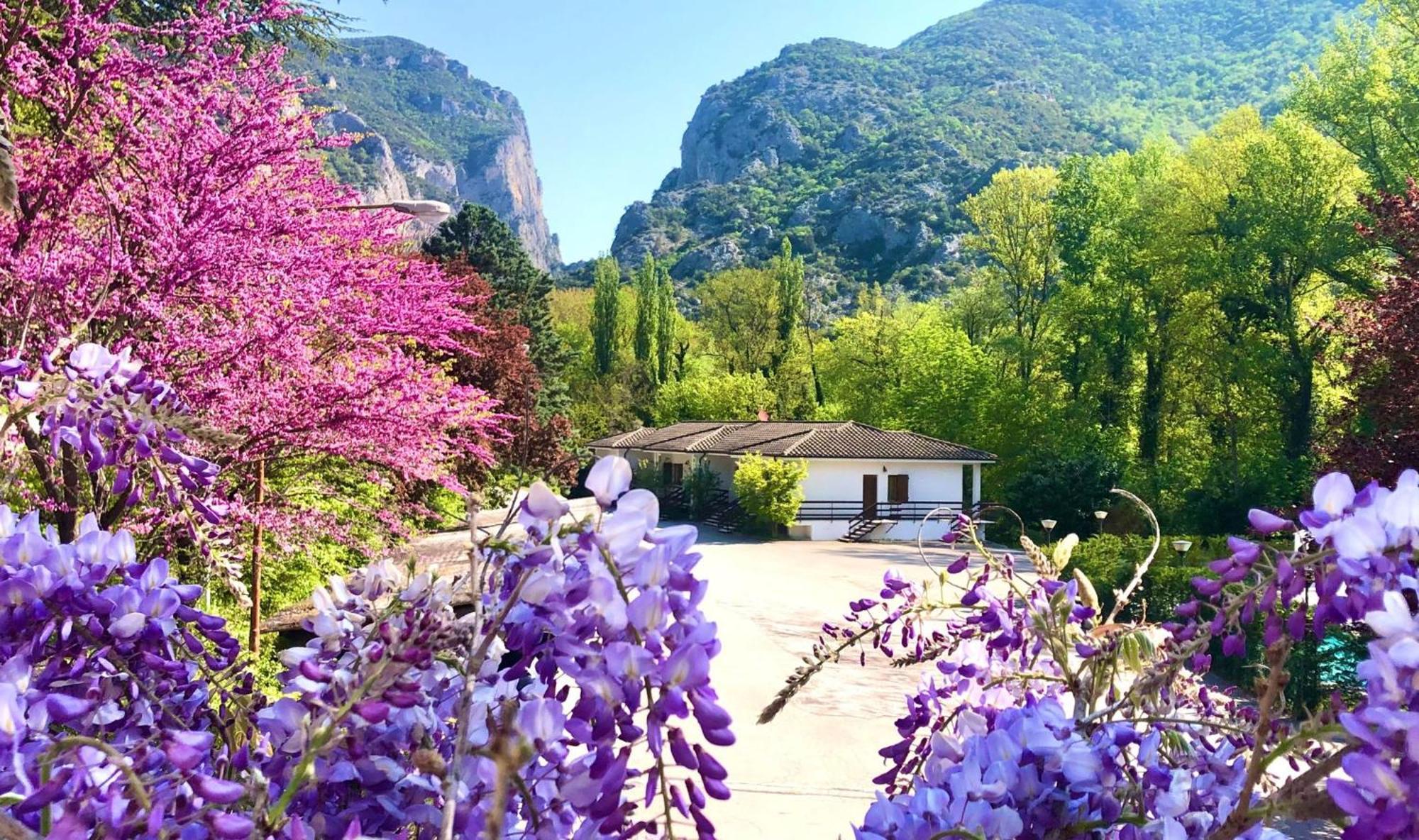 Hotel La Ginestra Acqualagna Exterior foto